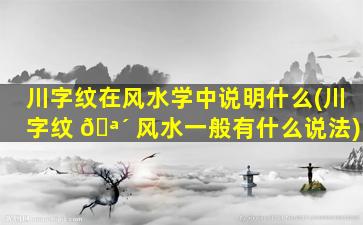 川字纹在风水学中说明什么(川字纹 🪴 风水一般有什么说法)